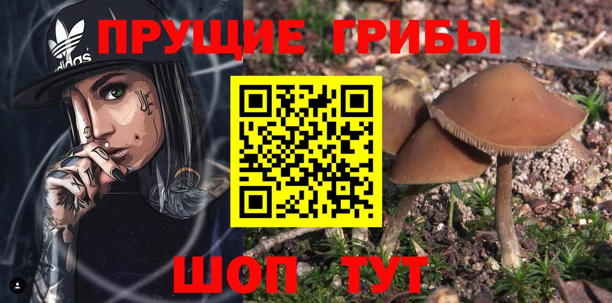 Галлюциногенные грибы прущие грибы Омск