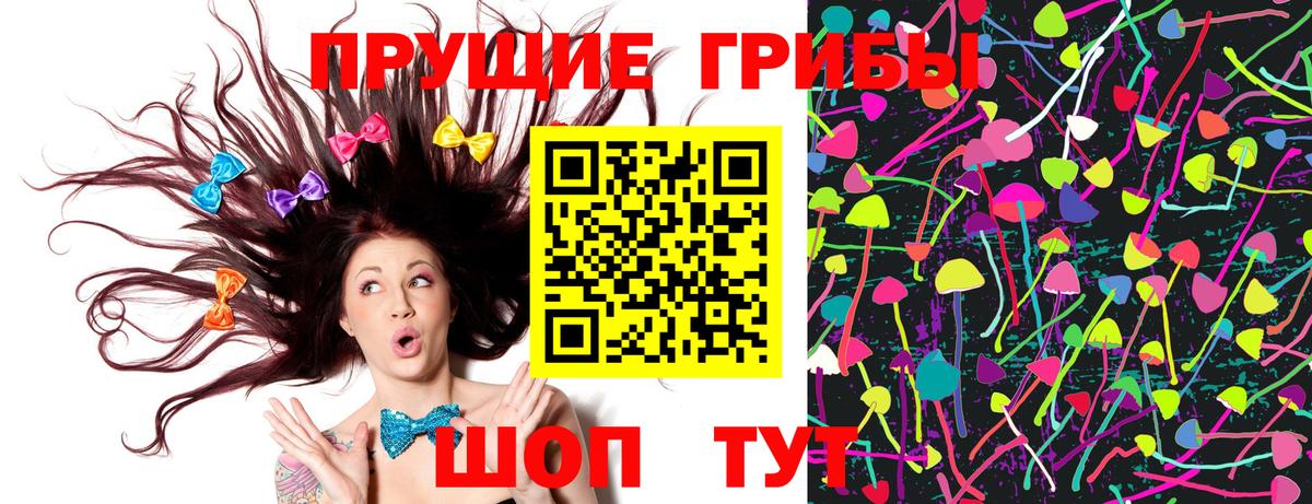 Омск  Псилоцибиновые грибы Cubensis  Вход с VPN 